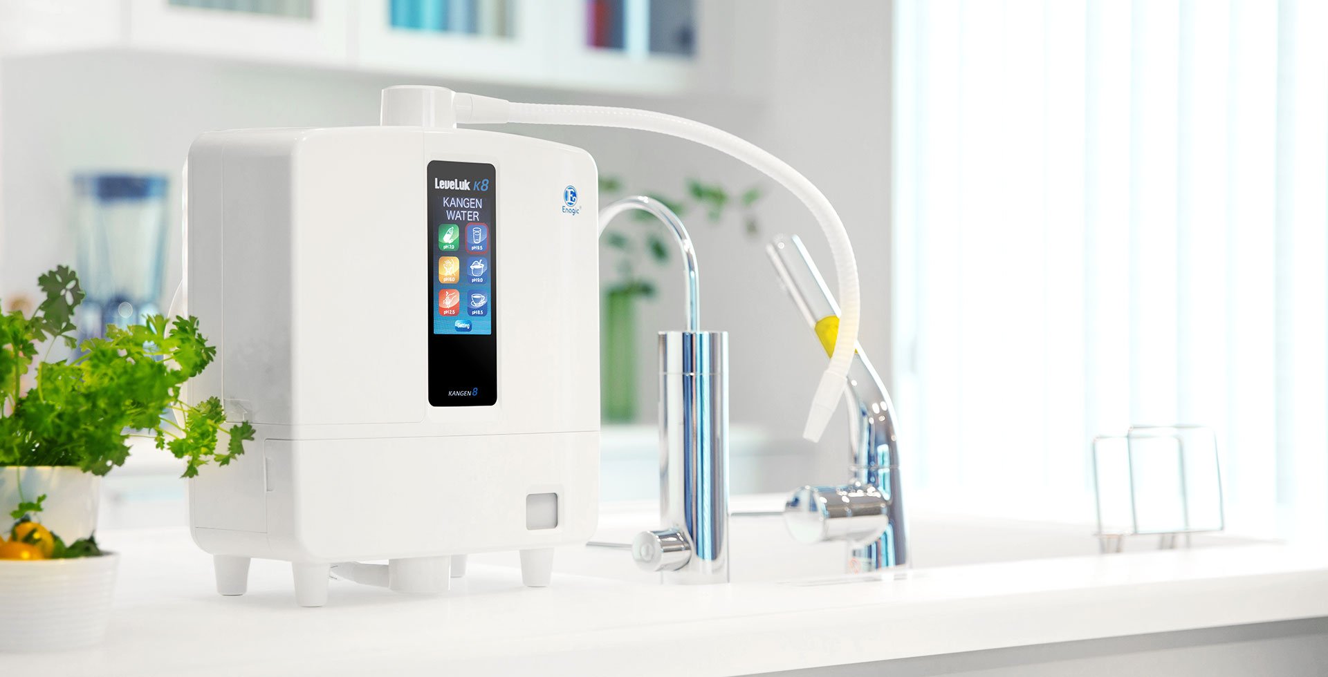 電解整水器レベラック